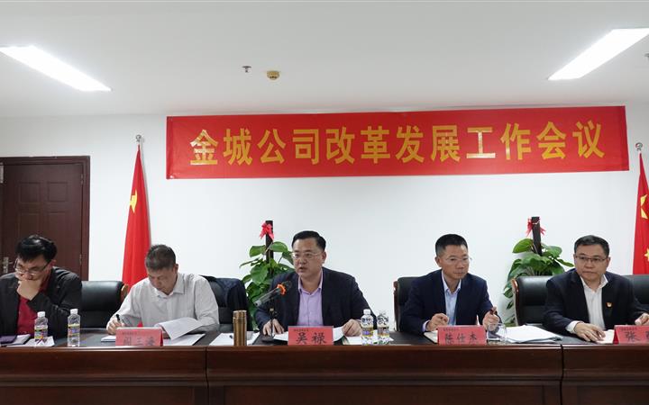 金城公司召开改革发展工作部署会