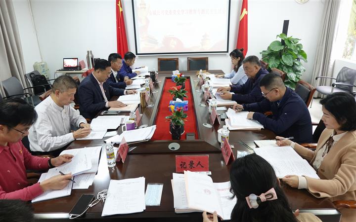 践行初心使命  凝聚发展合力 金城公司党委召开党史学习教育专题民主生活会