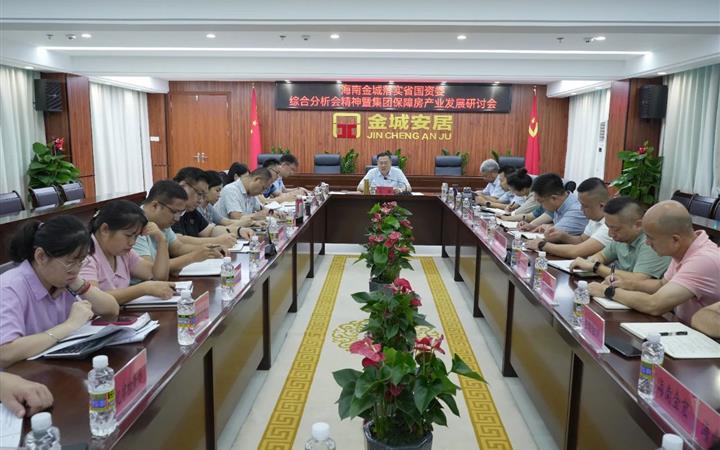 扎实推进保障房产业高质量发展 | 海南金城召开落实省国资委综合分析会精神暨集团保障房产业发展研讨会